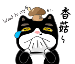 Bibi cat have a runny nose. Two sticker #14697192