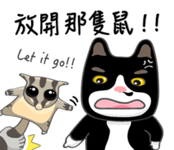 Bibi cat have a runny nose. Two sticker #14697197