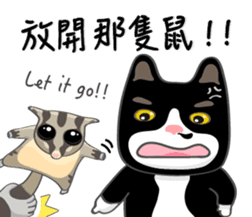 Bibi cat have a runny nose. Two sticker #14697197