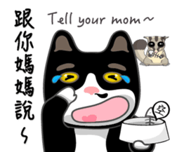 Bibi cat have a runny nose. Two sticker #14697199