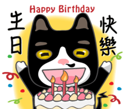 Bibi cat have a runny nose. Two sticker #14697203