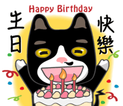 Bibi cat have a runny nose. Two sticker #14697203