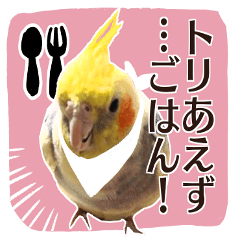 8 colors, cockatiel sticker
