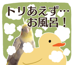 8 colors, cockatiel sticker sticker #14697855