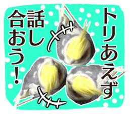 8 colors, cockatiel sticker sticker #14697856