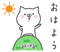 AKIRA's basic pack,cute kitten sticker #14698778