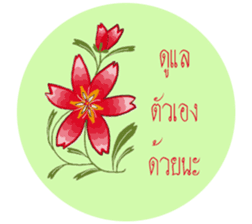 Flower greeting (Th) sticker #14699148