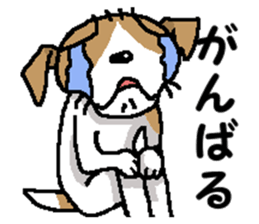 Jack dog 11 sticker #14699169