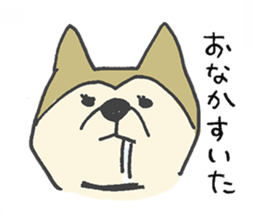 Akita-dog Sticker sticker #14699867