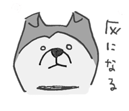 Akita-dog Sticker sticker #14699870