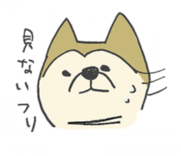 Akita-dog Sticker sticker #14699871
