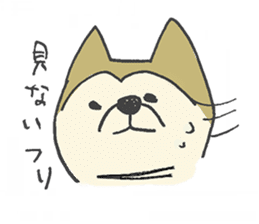 Akita-dog Sticker sticker #14699871