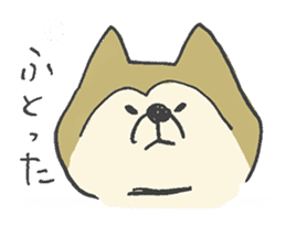 Akita-dog Sticker sticker #14699878