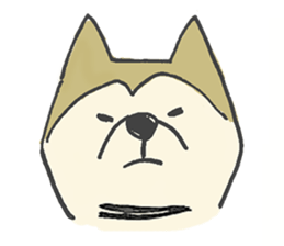 Akita-dog Sticker sticker #14699880