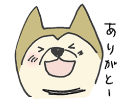 Akita-dog Sticker sticker #14699894