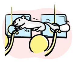 Cream ferret2 sticker #14700151