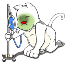 DIDI cat sticker #14700480