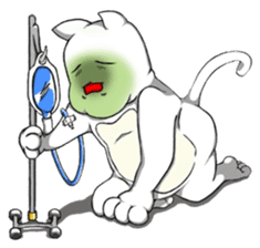 DIDI cat sticker #14700480