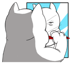 DIDI cat sticker #14700501