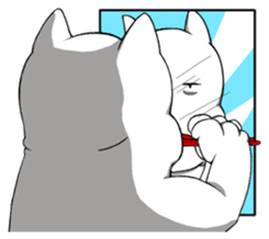 DIDI cat sticker #14700501