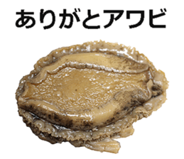 Abalone! sticker #14702007