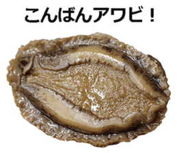 Abalone! sticker #14702009