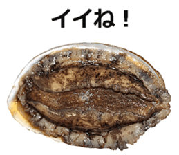 Abalone! sticker #14702015