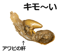 Abalone! sticker #14702020