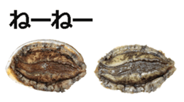 Abalone! sticker #14702023