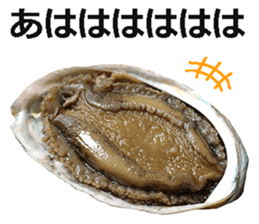 Abalone! sticker #14702025
