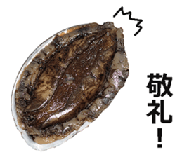 Abalone! sticker #14702027