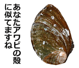 Abalone! sticker #14702032