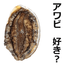 Abalone! sticker #14702041