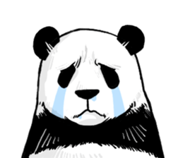 Pandan6 sticker #14702448