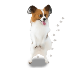 Papillon Tiga-chan 2 sticker #14704081