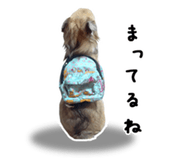 Chihuahuadog_maro sticker #14704692