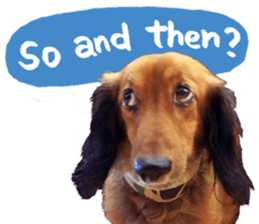 QD Life sticker #14705702