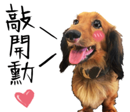 QD Life sticker #14705703