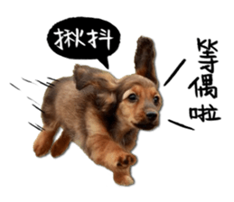 QD Life sticker #14705704