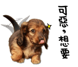 QD Life sticker #14705705