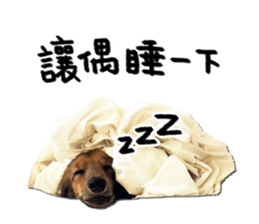 QD Life sticker #14705706