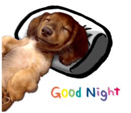 QD Life sticker #14705708