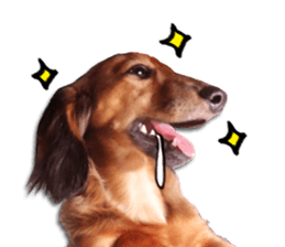 QD Life sticker #14705709