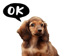 QD Life sticker #14705710