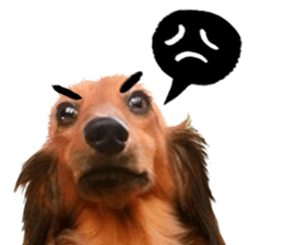 QD Life sticker #14705713