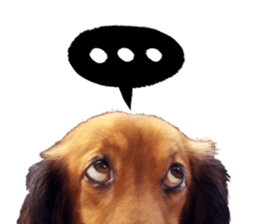 QD Life sticker #14705714