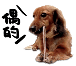 QD Life sticker #14705717