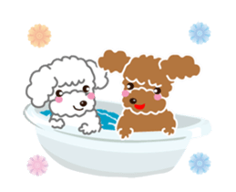 Cute!poodle. sticker #14706919
