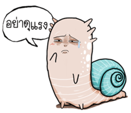 Snail smile gentle sticker #14706967
