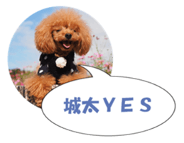 fukidashifan sticker #14707320